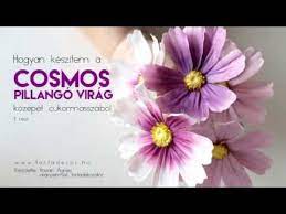 Cosmos Pillango Virag Cukorvirag Keszites Video Sugar Flowers Tutorial Fondant Flower Tutorial Clay Flowers