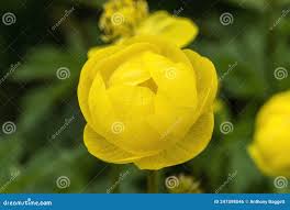 4,626 X Park Stock Photos