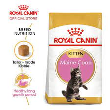 Makanan yang bagus untuk kucing maine coon. Royal Canin Kitten Maine Coon Makanan Anak Kucing Dry 2kg Shopee Indonesia