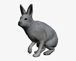 We provide millions of free to download high definition png images. Arctic Hare Clipart Transparent Arctic Hare Png Png Image Transparent Png Free Download On Seekpng