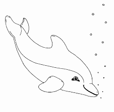 35 Delfin Ausmalbilder Kostenlos Ausdrucken Ausmalbilder Zum Ausdrucken Kostenlos Ausmalbilder Malvorlagen Zum Ausdrucken