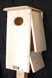 Home/new home plans/elegant wood duck bird house plans. Coveside Black Bellied Whistling Duck House Wild Bird Store Online