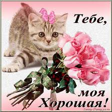 песня с днем рождения поздравляю тебя и я и я Https Encrypted Tbn0 Gstatic Com Images Q Tbn 3aand9gcrnx2 Mdczi Blnqk8mv6tr4xpy8vjz8nkmhq Usqp Cau