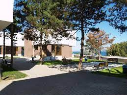 Maybe you would like to learn more about one of these? Complex Vile Neptun Olimp Olimp Aktualisierte Preise Fur 2021