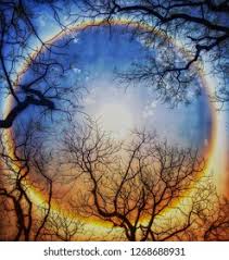 Ontdek de perfecte stockfoto's over sun halo en redactionele nieuwsbeelden van getty images kies uit premium sun halo van de blader door de 1.364 sun halo beschikbare stockfoto's en beelden, of. Sun Halo Rich Colors Stock Photo Edit Now 1268688931