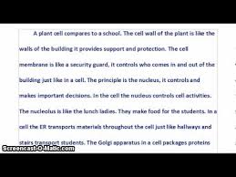 Plant and animal cell analogy project examples. Plant Cell City Analogy Shefalitayal