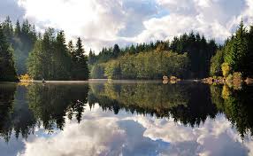 We did not find results for: 20 Gorgeous Vancouver Lakes You Have To Visit This Summer Curated