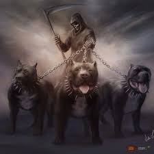 Jbzd Pl Najgorsze Obrazki W Internecie Grim Reaper Tattoo Pitbull Drawing Pitbull Tattoo