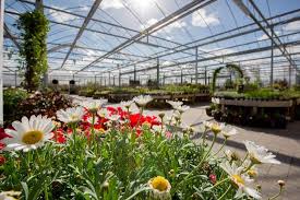 Book online with one stop service centre! A Real One Stop Garden And Home Centre Traveller Reviews Arboretum Your Home Garden Heaven Tripadvisor