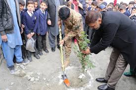 Plantation Day Boys Senior & Junior Wing