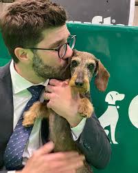 Puppy becomes Norwegian champion