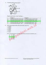Pembahasan buku detik detik un bahasa. Kunci Jawaban Soal Usbn Biologi Sma Tahun Pelajaran 2016 2017 Blog Pak Pandani