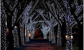 Up To 4 Off On 50 Led Christmas Lights Solar Groupon Goods