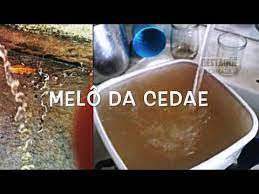 Funny memes that get it and want you to too. Cedae Afirma Nao Ter Capacidade Para Tratar Falas De Bolsonaro Humor Politico Rir Pra Nao Chorar