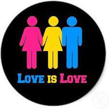 A pansexual is a person who is attracted to all gender identities, or attracted to people regardless of gender, according to glaad president & ceo, sarah kate ellis. Ù…Ù† Ù‡Ùˆ Ø¨Ø§Ù†Ø³ÙƒØ³ÙˆØ§Ù„ Ù…ÙŠØ²Ø§Øª Ø§Ù„ØªÙˆØ¬ÙŠÙ‡