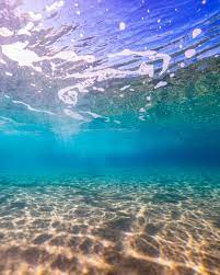 Follow the vibe and change your wallpaper every day! Under The Sea Under The Sea Pictures Ocean Pictures Sea Pictures