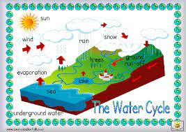 Here S A Simple Labeled Picture Of The Water Cycle Water Cycle Kindergarten Activities Homeschool Science