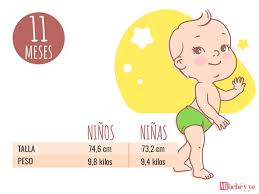 Bebe De 11 Meses Desarrollo Del Bebe Mes A Mes