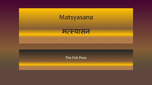 Matsyasana Meaning Steps Benefits Classic Yoga