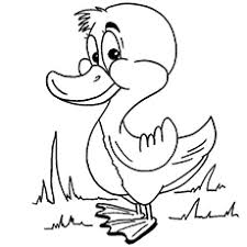 By best coloring pagesaugust 1st 2013. Top 20 Free Printable Duck Coloring Pages Online