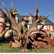 World Record Red Stag Taken In France 2017 Who Can Guess The Cic Score Pic Found Jagd Welten Repost Hunting Biggame Wo Sitka Gear Bow Huntress Elk Hunting