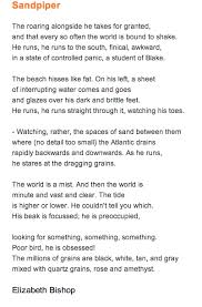 Sandpiper By Elizabeth Bishop Education Quotes Greek Quotes Sylvia Plath Quotes