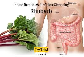 Check spelling or type a new query. Top 20 Home Remedies For Colon Cleansing Health Tips Try This