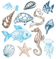 The amazing little puffer fish capa. Marine Animals Drawings Vector Images Over 31 000