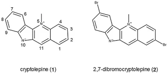 Image result for Triainolepis