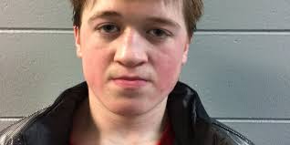 Boys hockey: Fondy advances with win over Waupun