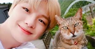 Kang Daniel's Customized "Lucky Cat" Charm Could Make Your Wish Come True