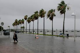 We have tree choices for almost any budget and if you want, can supply you with 30 ft trees up to 10 in diameter. Tropical Storm To Hit Atlantic Canada By Thursday Canadian Underwriter