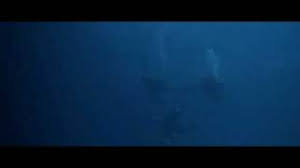 Il est des films qui restent à jamais gravés dans la mémoire. Le Vieux Fusil 1975 Blog Du West 2