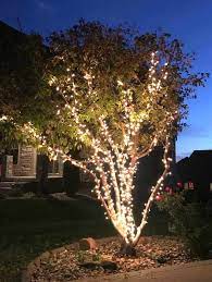 Hanging lights in trees outside. Wrap Lights On An Outdoor Tree In 6 Easy Steps Love Our Real Life