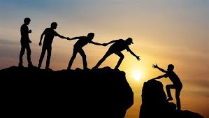 Building a Cohesive Team