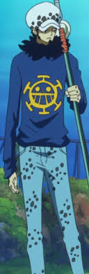 In australia, insolvency laws regulate the affairs of a company that can no longer pay its financial obligations. Trafalgar D Water Law One Piece Wiki Fandom
