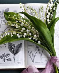 Aesthetic a lily of the valley flower wall art, botanical digital . Fleur Aesthetic Instagram Julia Ok8