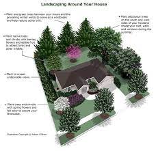 Plant A Tree Save On Utilities Landscaping Around House Landscaping Trees Farmhouse Landscaping