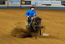 It starts our show season for the year. Www Wittelsbuerger Com Reining Forum