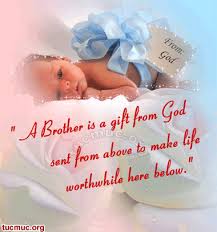 In order to make that birthday message a little easier to write, we compiled over 100 different quotes for you to choose from. Dear Siblings Quotes Quotesgram