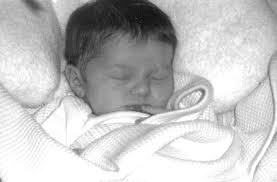 Boat Damage, Power Lines and Trees Down