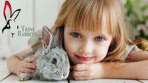 Any kits available in the central area?