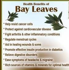 Maybe you would like to learn more about one of these? Bay Leaf A Sacred Leaf Used In Cooking Healthyliving From Nature Buy Online