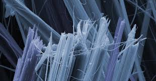 Many of the fibers will become trapped in the mucous membranes of the nose and throat where they can then be removed, but some Why Asbestos Is Still Used Around The World News Chemistry World