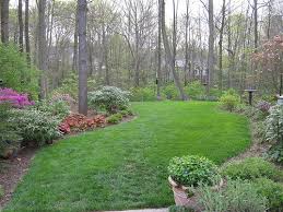 Landscaping A Wooded Lot Recent Photos The Commons Getty Collection Galleries World Map App Wooded Backyard Landscape Wooded Landscaping Backyard Landscaping