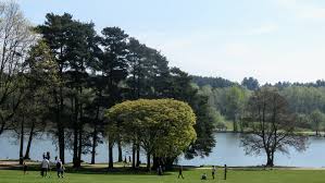 The park is jammed packed with things to do once you set your feet down on terra firma. 1904719 Tilgate All Things Ratcliffe Ratters And Eggybread