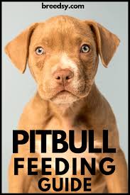 15 Best Dog Foods For American Pitbull Terriers Our 2019