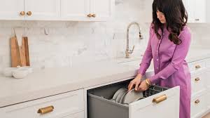 fisher and paykel dd24dti9_n double