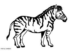 Disegni Di Zebre Da Stampare E Colorare Gratis Portale Bambini Zebras Coloring Coloringpages Coloringinspiration Zebre Colori Disegni