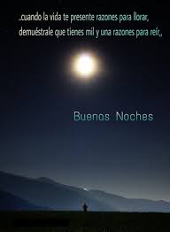 Pin By Hegar Jimenez On Frases Y Pensamientos Dog Adoption Florida State Senior Dog